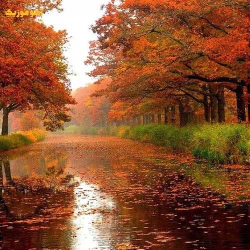 دانلود آهنگ عشقم چه خبر مگه عاشقم نبودی / ورژن اصلی