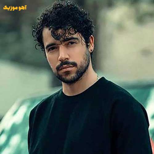 دانلود آهنگ شروین حاجی پور دلم برات تنگ میشه