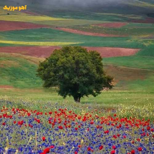 دانلود آهنگ عروس نازت میشم »» با پخش آنلاین