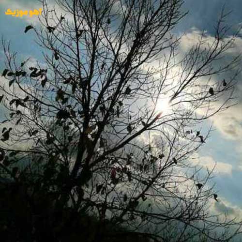 دانلود آهنگ یه زمون کار من این بود مثل دیوونه ها / کامل همراه متن