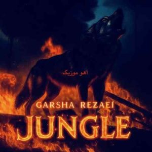 دانلود آهنگ گرشا رضایی جنگل دانلود آهنگ گرشا رضایی جنگل